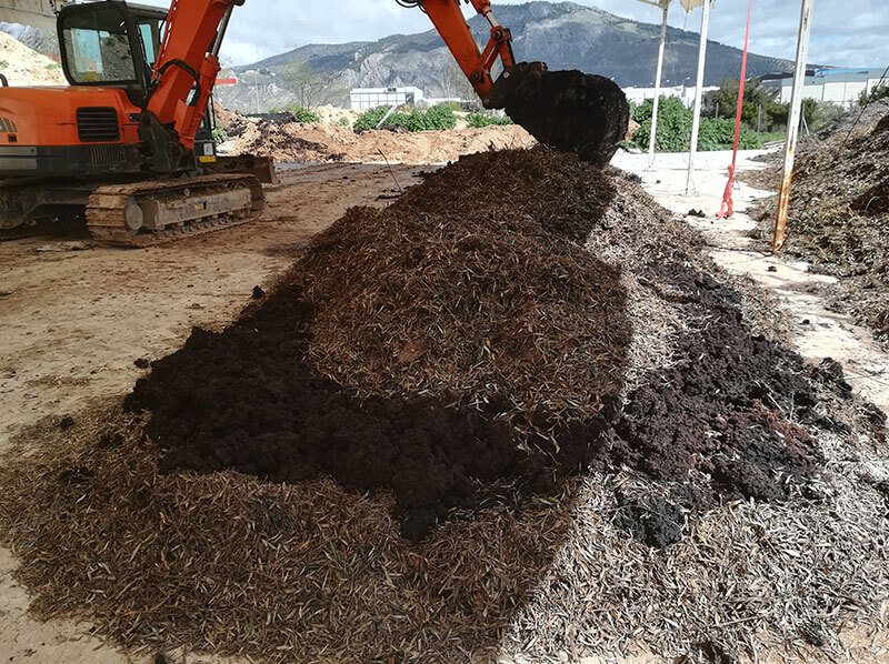 aplicando-hojas-de-olivo-sobre-capas